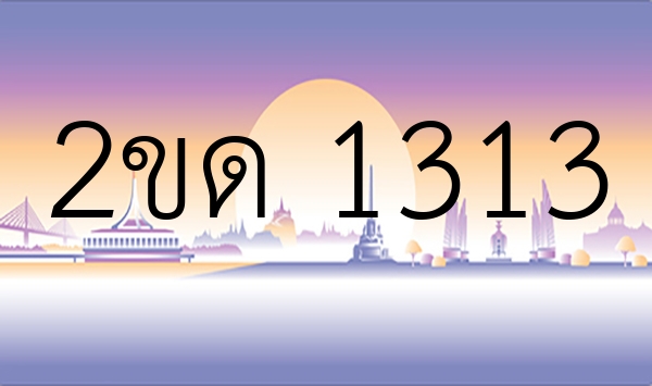 2ขด 1313